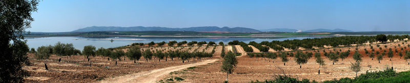 LagunaFuentePiedra